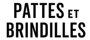 Pattes et Brindilles